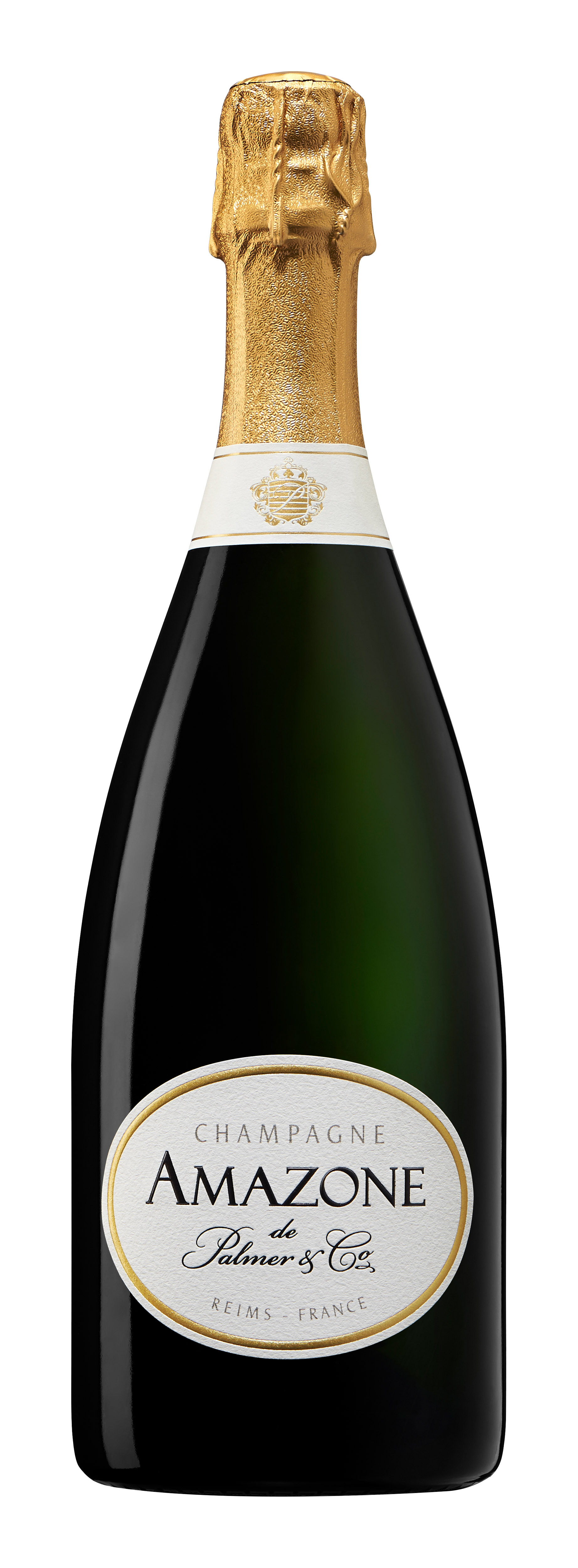 Amazone de Palmer Brut