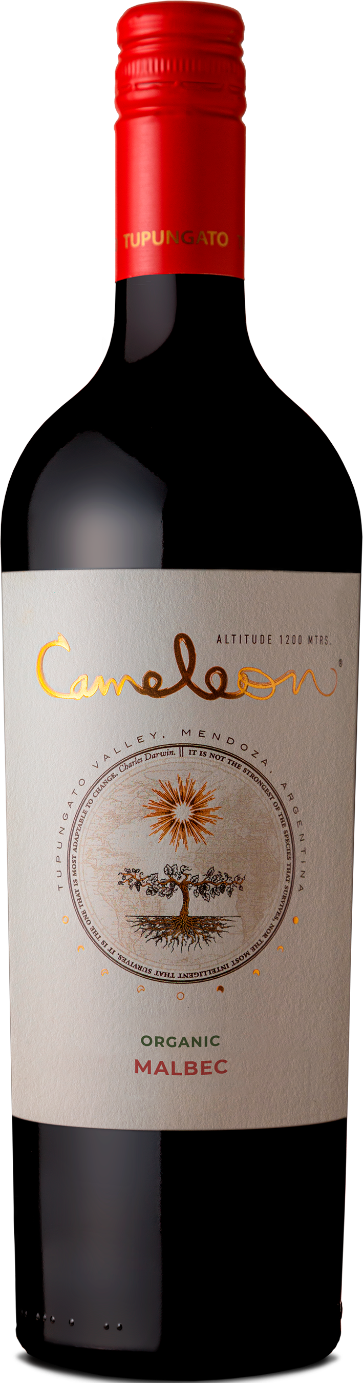 Cameleon Malbec (Bousquet)