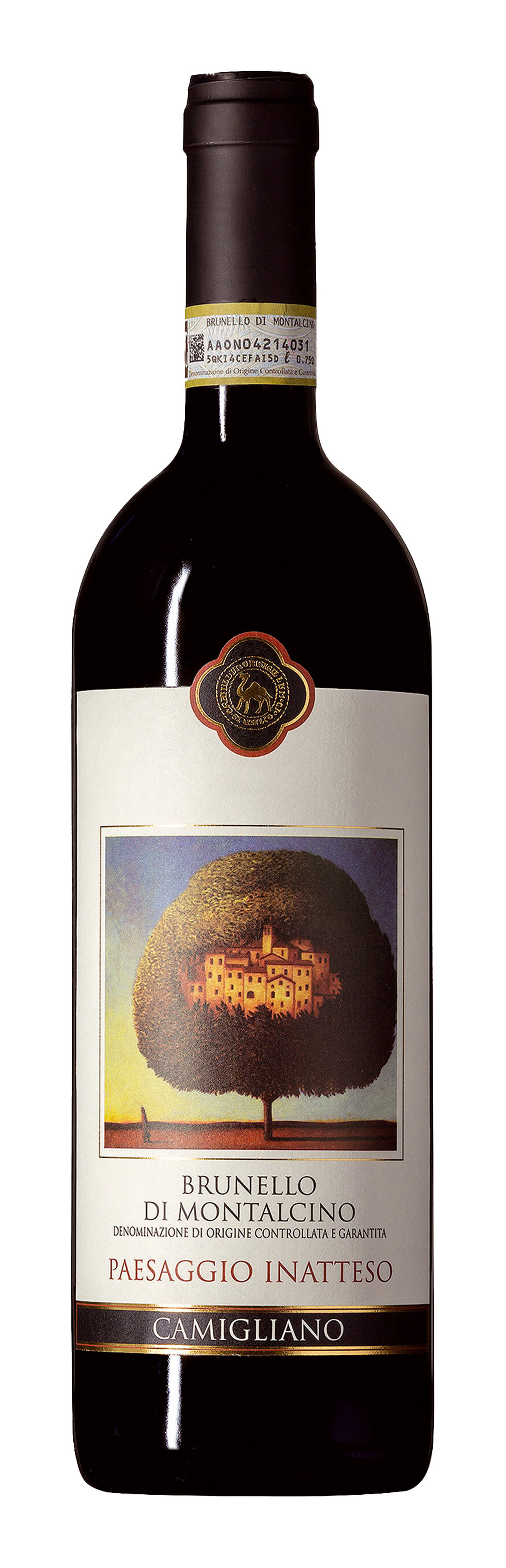 Camigliano Brunello di Montalcino Paesaggio Inatteso