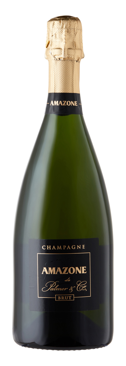 Amazone de Palmer Brut